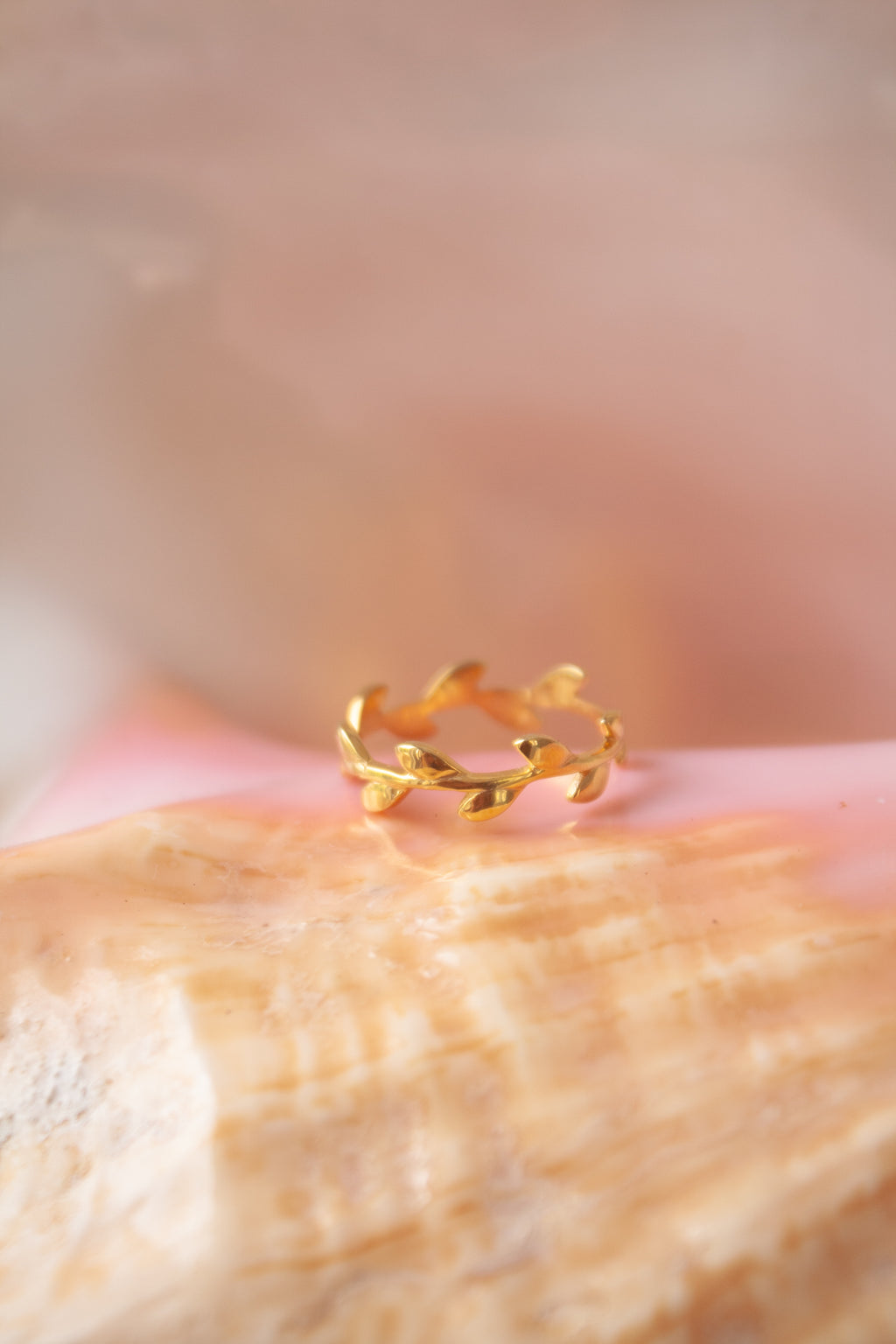 Anillo Hojitas con cubierta en Oro