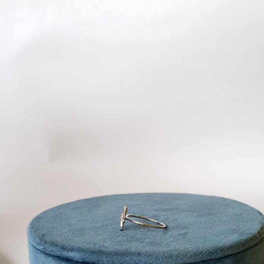 Anillo Caballito de Mar Plata