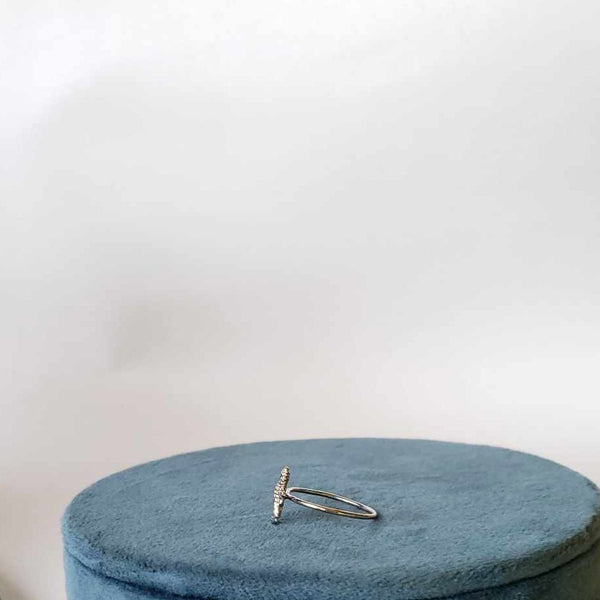 Anillo Caballito de Mar Plata