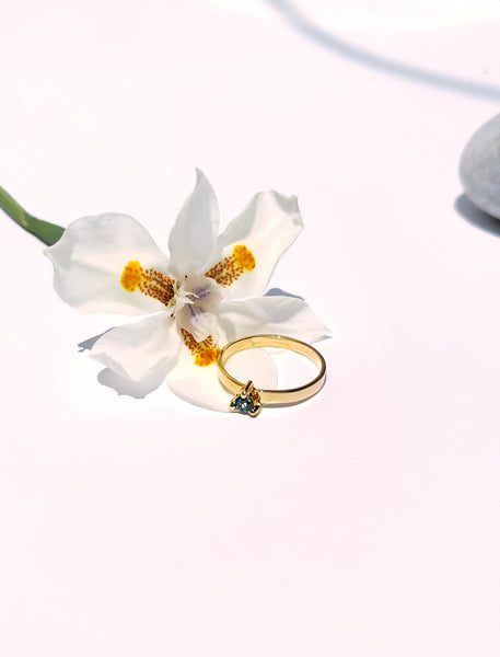 Anillo indigo