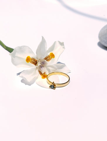 Anillo indigo