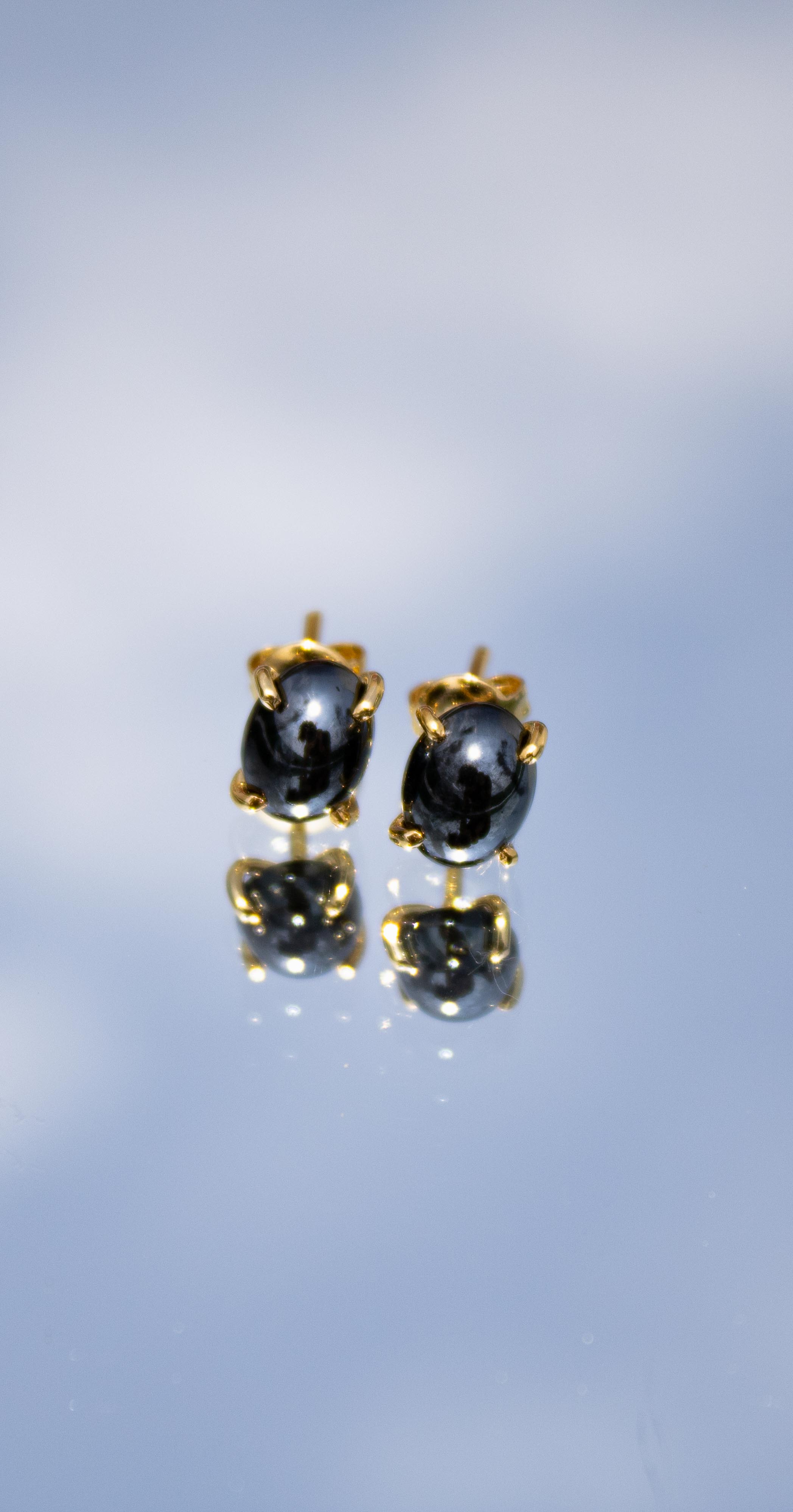 Aretes Acerina Oval con cubierta en Oro.