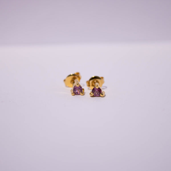 Aretes Gardner con rodolitas